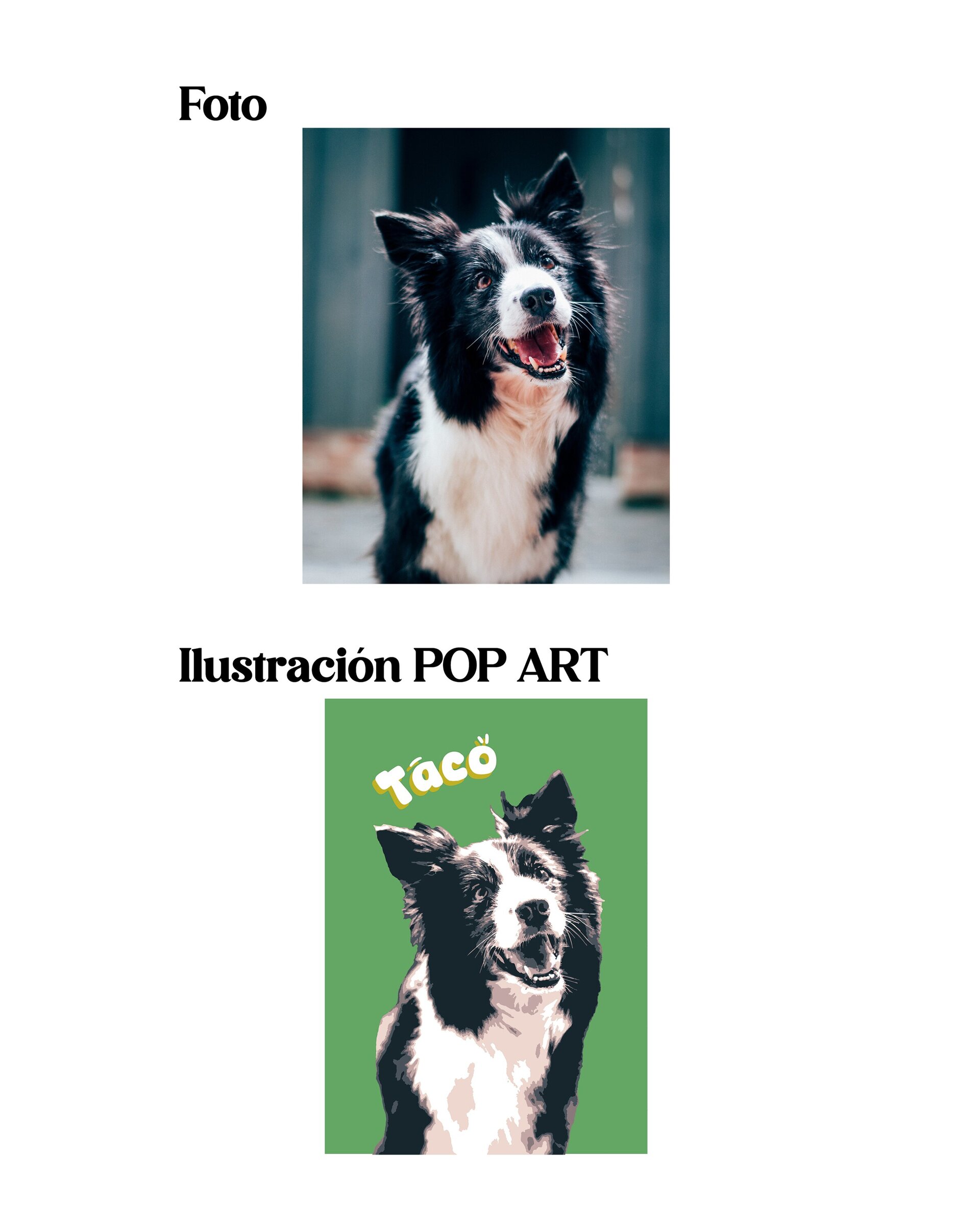 Lamina POP ART Mascota - IMPRESA - 2