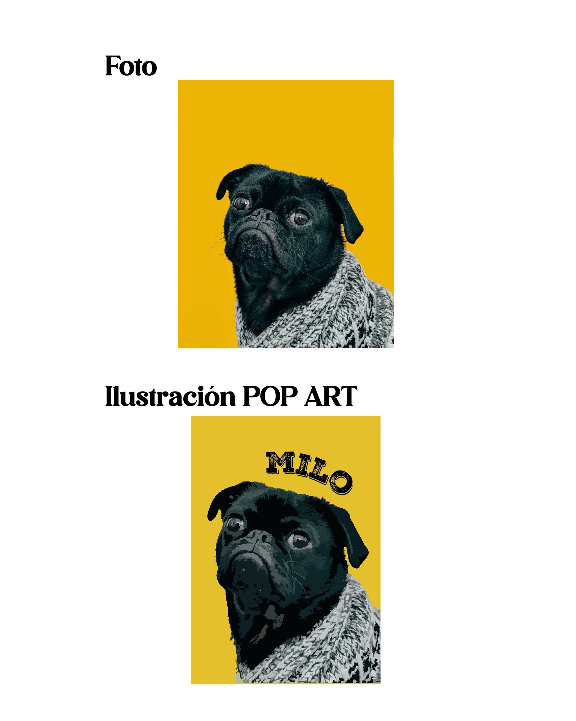 Lamina POP ART Mascota - IMPRESA - 3